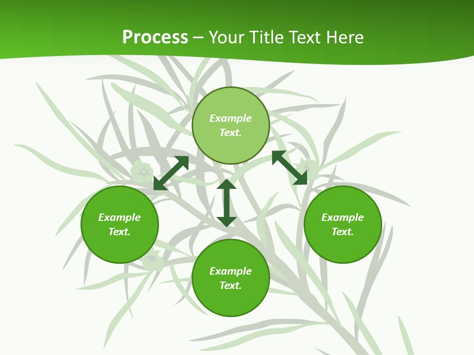 Leafs Essence Nature PowerPoint Template