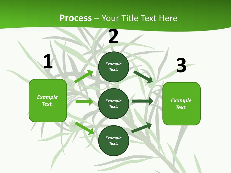 Leafs Essence Nature PowerPoint Template