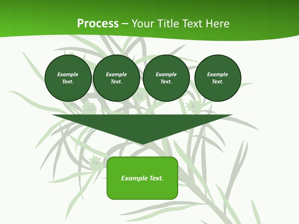 Leafs Essence Nature PowerPoint Template