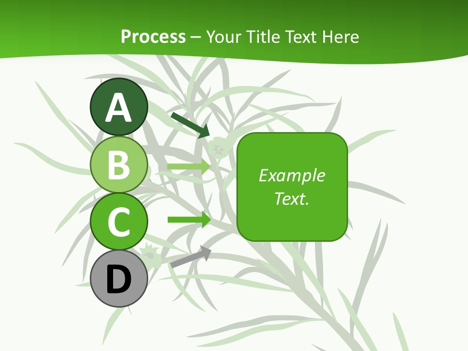 Leafs Essence Nature PowerPoint Template