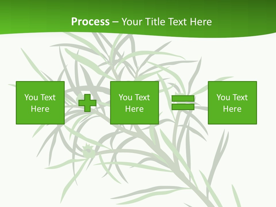 Leafs Essence Nature PowerPoint Template