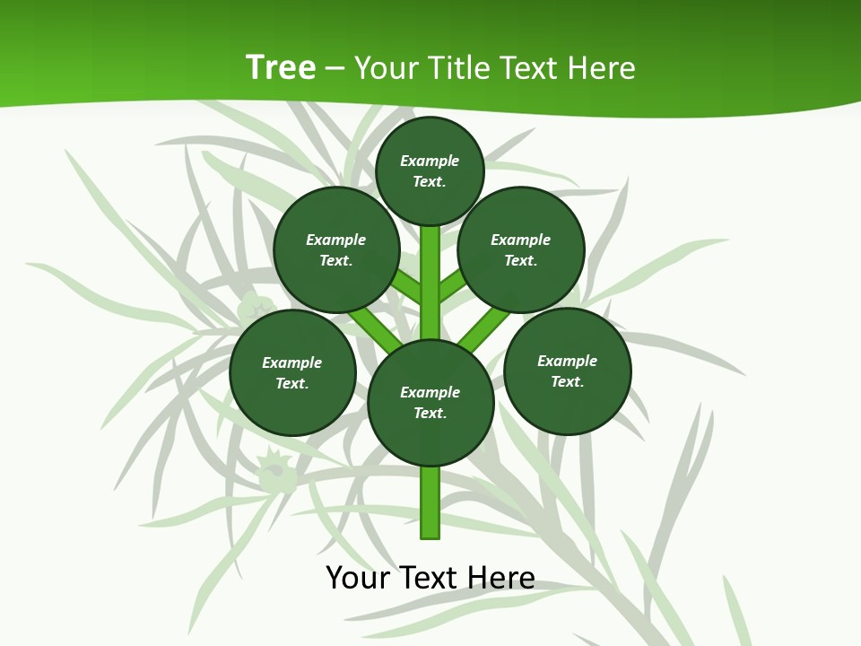 Leafs Essence Nature PowerPoint Template
