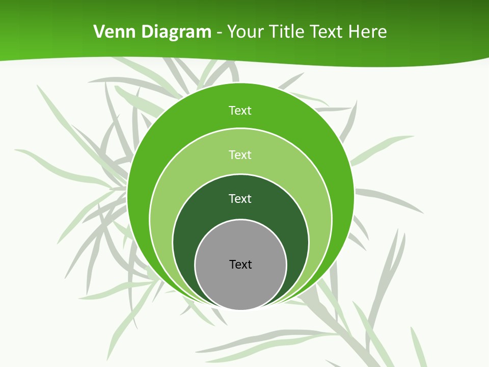 Leafs Essence Nature PowerPoint Template