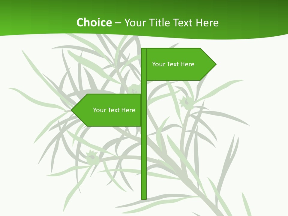 Leafs Essence Nature PowerPoint Template