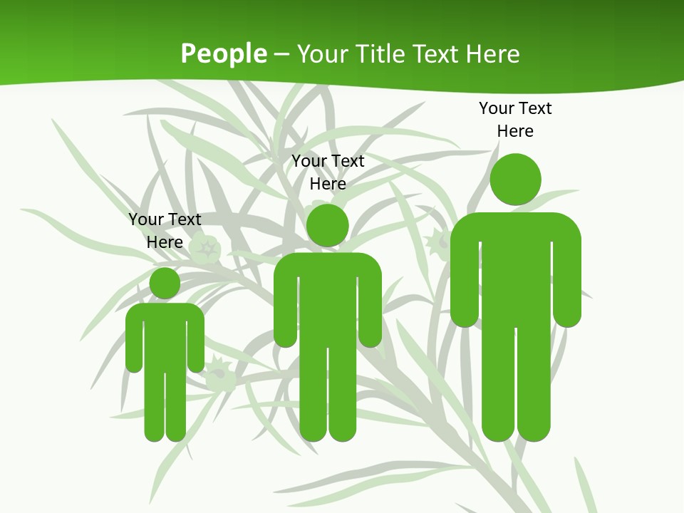 Leafs Essence Nature PowerPoint Template