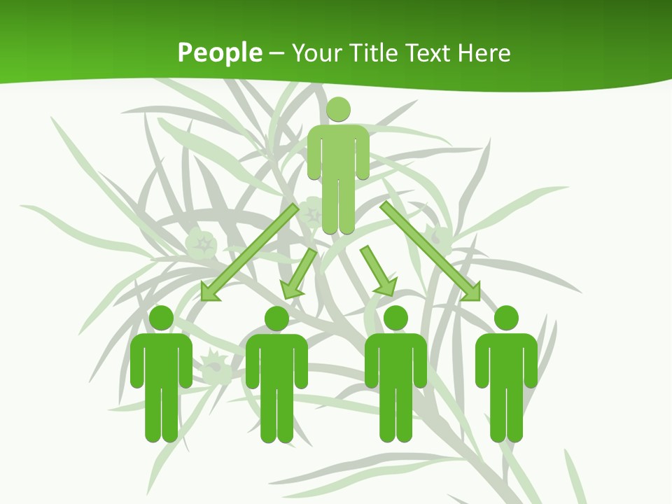 Leafs Essence Nature PowerPoint Template