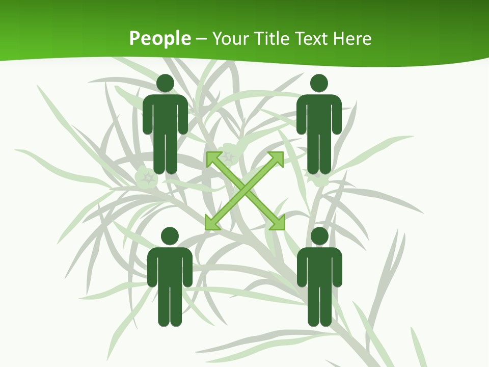 Leafs Essence Nature PowerPoint Template