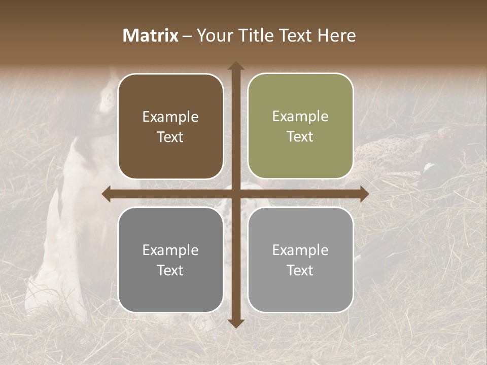 Grass Obedient Sport PowerPoint Template