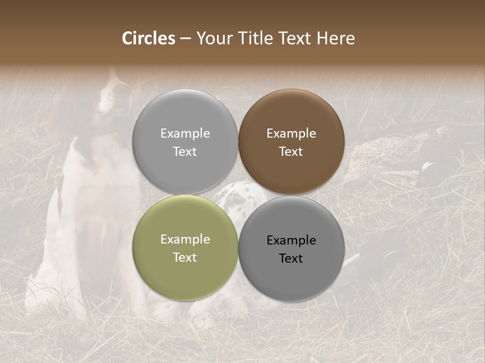 Grass Obedient Sport PowerPoint Template