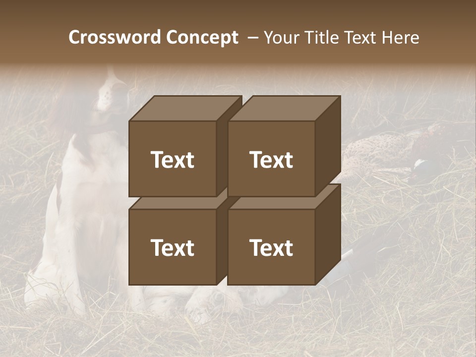 Grass Obedient Sport PowerPoint Template