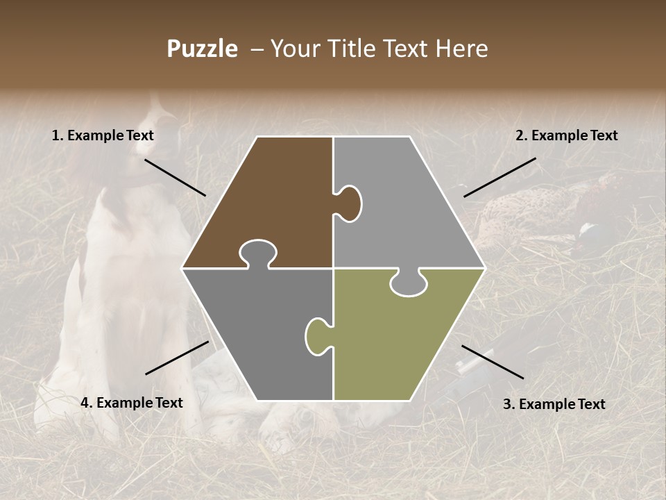 Grass Obedient Sport PowerPoint Template