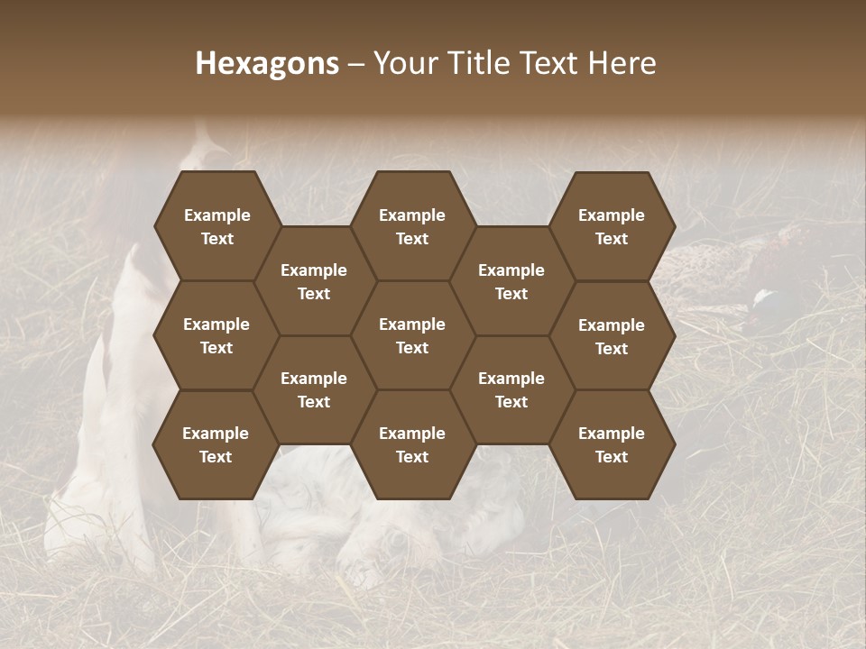 Grass Obedient Sport PowerPoint Template