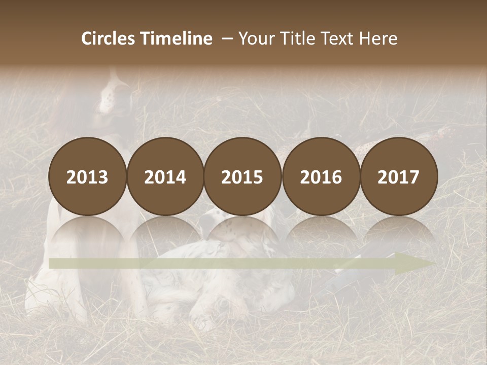 Grass Obedient Sport PowerPoint Template