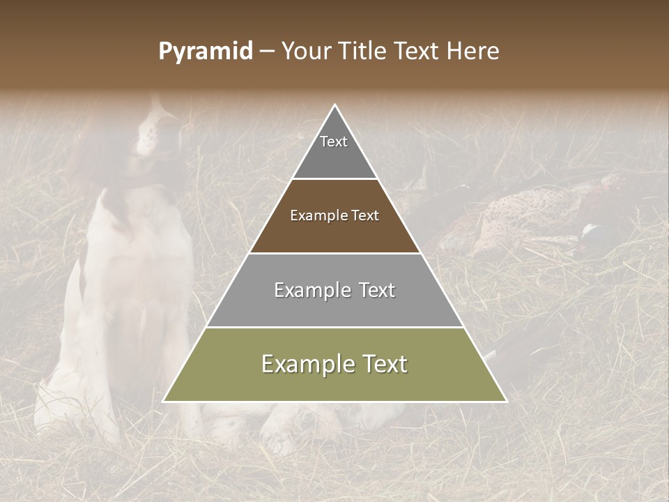 Grass Obedient Sport PowerPoint Template