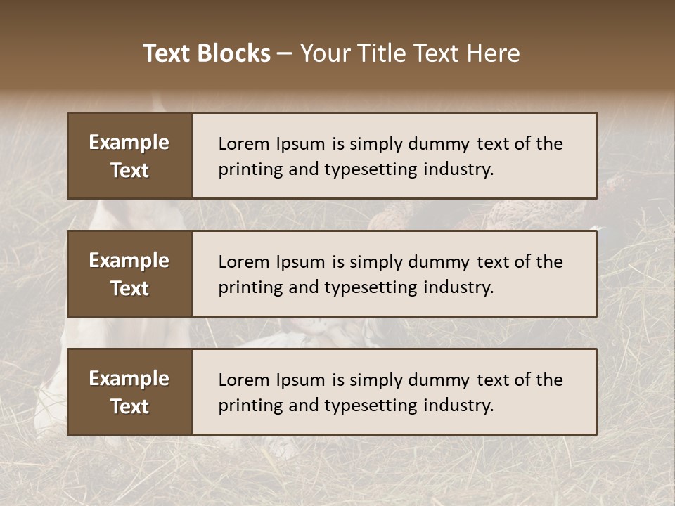 Grass Obedient Sport PowerPoint Template