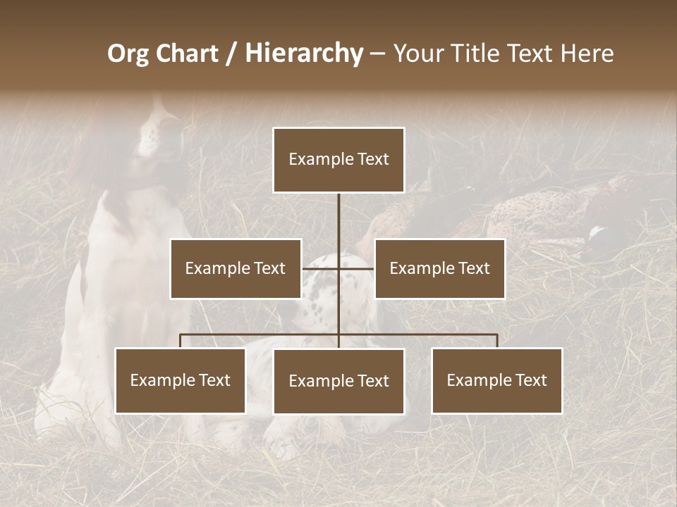 Grass Obedient Sport PowerPoint Template