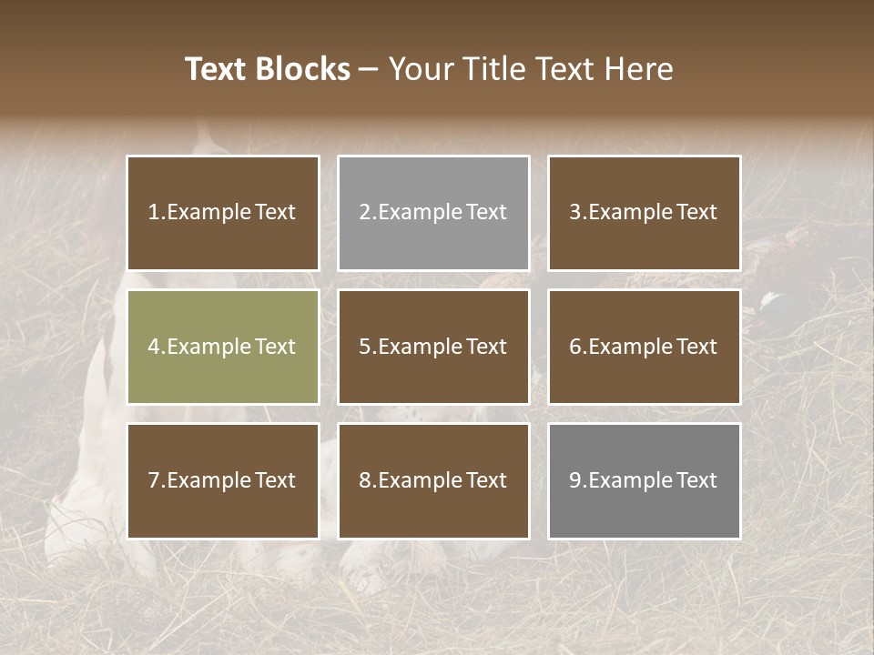 Grass Obedient Sport PowerPoint Template