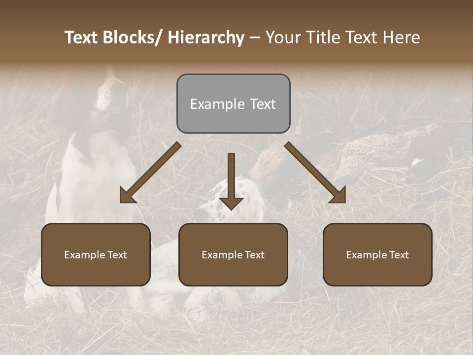 Grass Obedient Sport PowerPoint Template