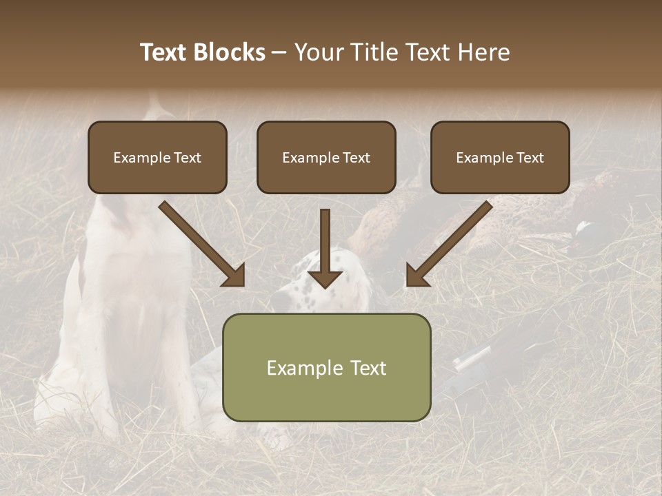 Grass Obedient Sport PowerPoint Template