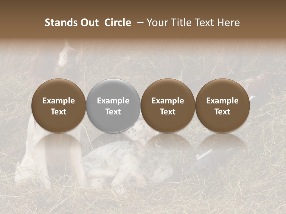 Grass Obedient Sport PowerPoint Template