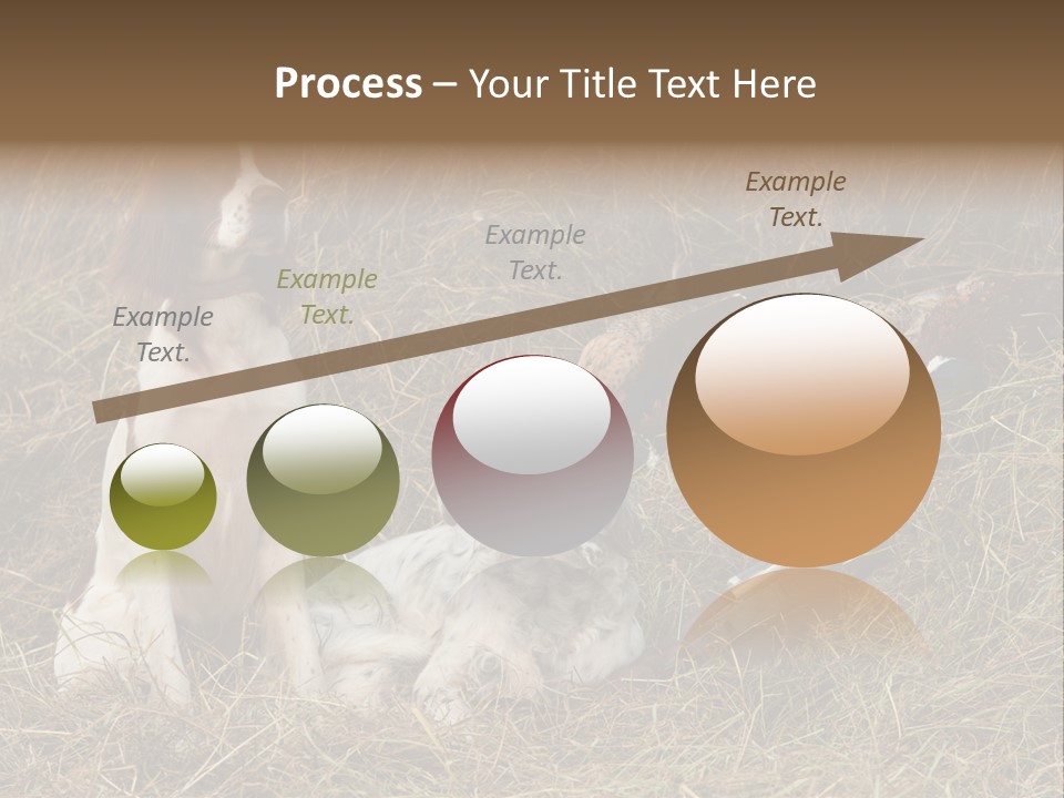 Grass Obedient Sport PowerPoint Template