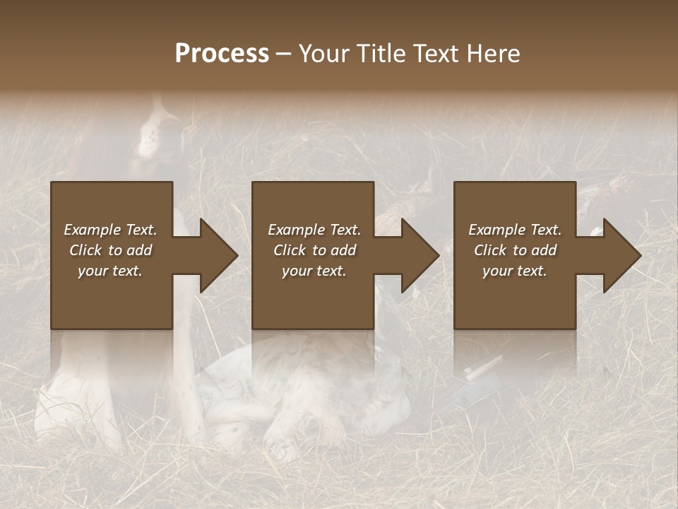 Grass Obedient Sport PowerPoint Template