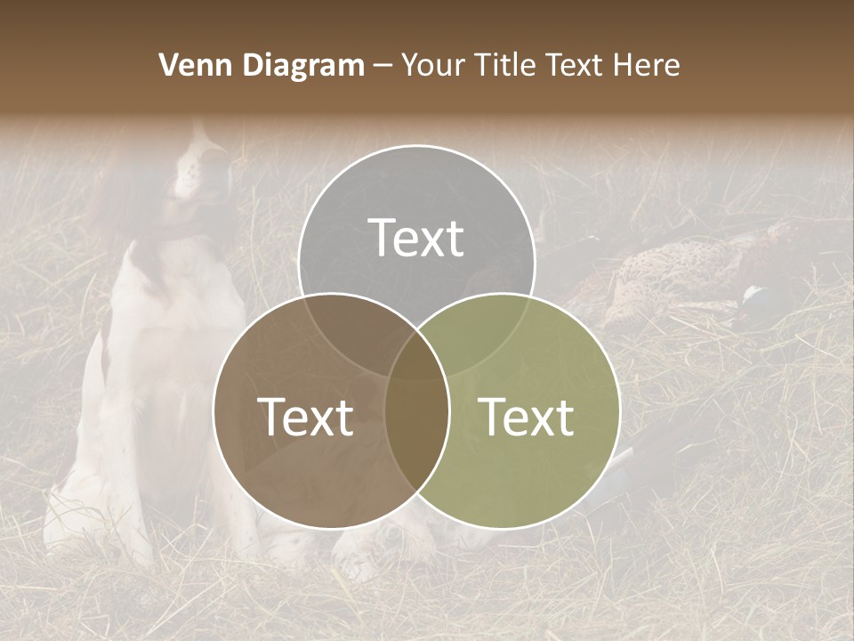 Grass Obedient Sport PowerPoint Template