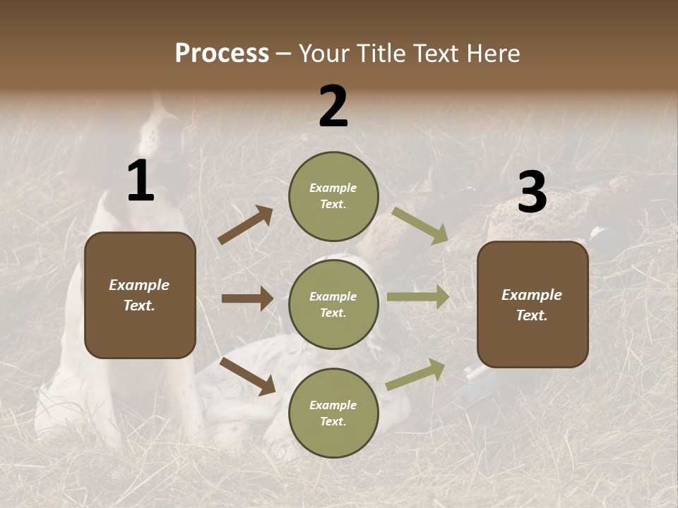 Grass Obedient Sport PowerPoint Template