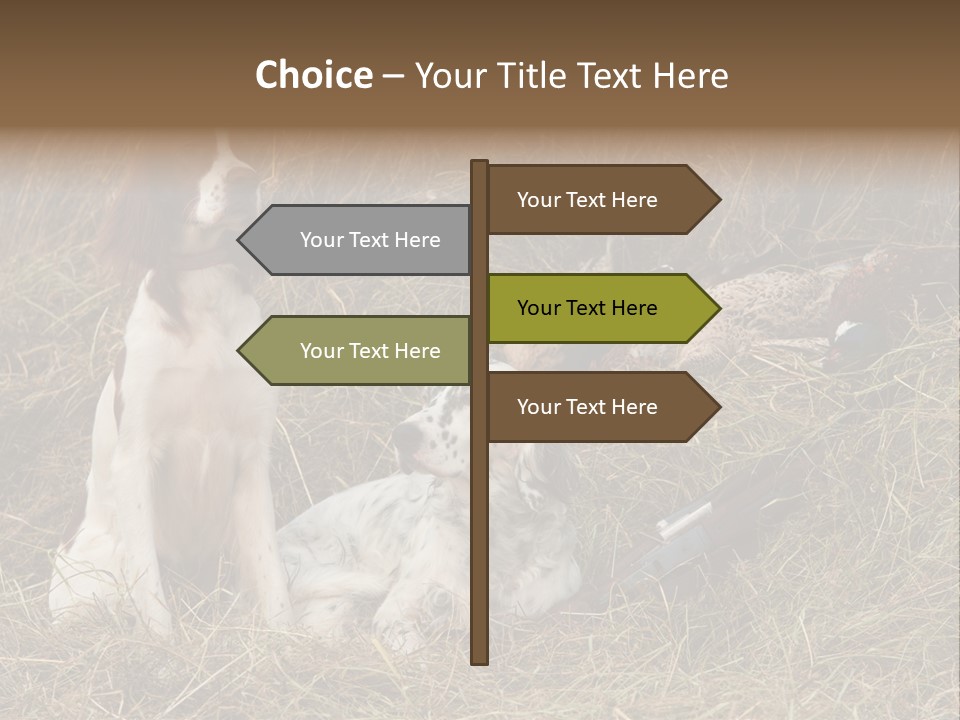 Grass Obedient Sport PowerPoint Template