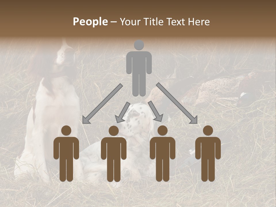 Grass Obedient Sport PowerPoint Template