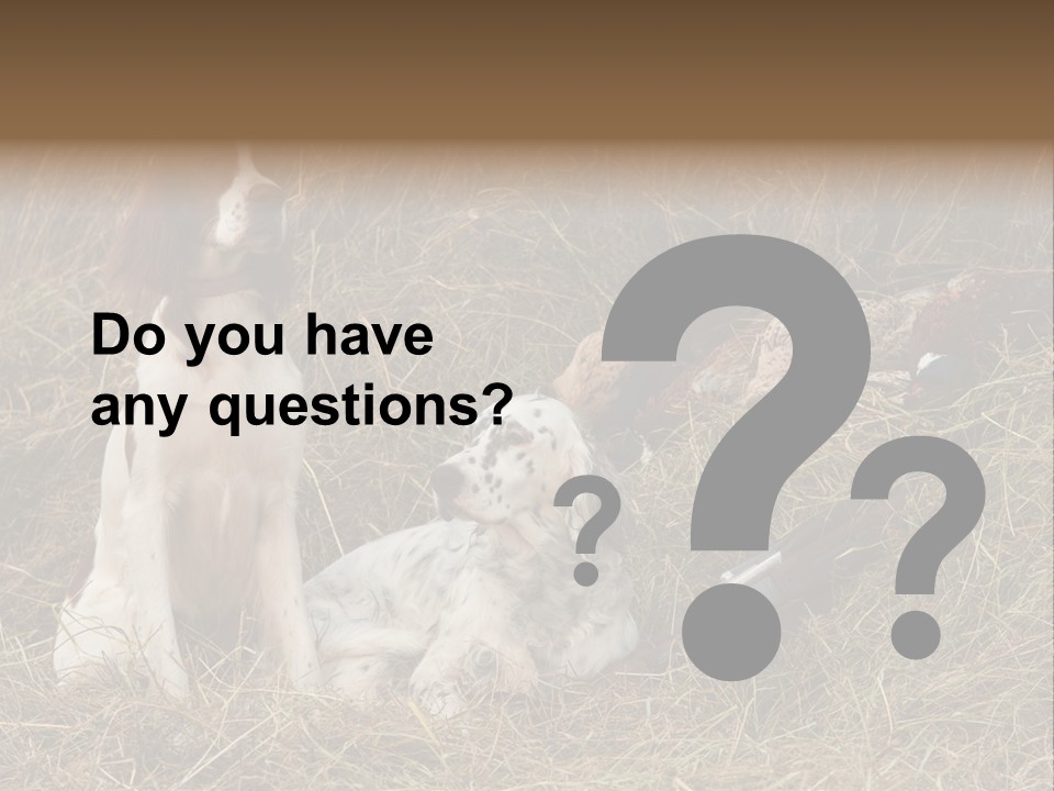 Grass Obedient Sport PowerPoint Template