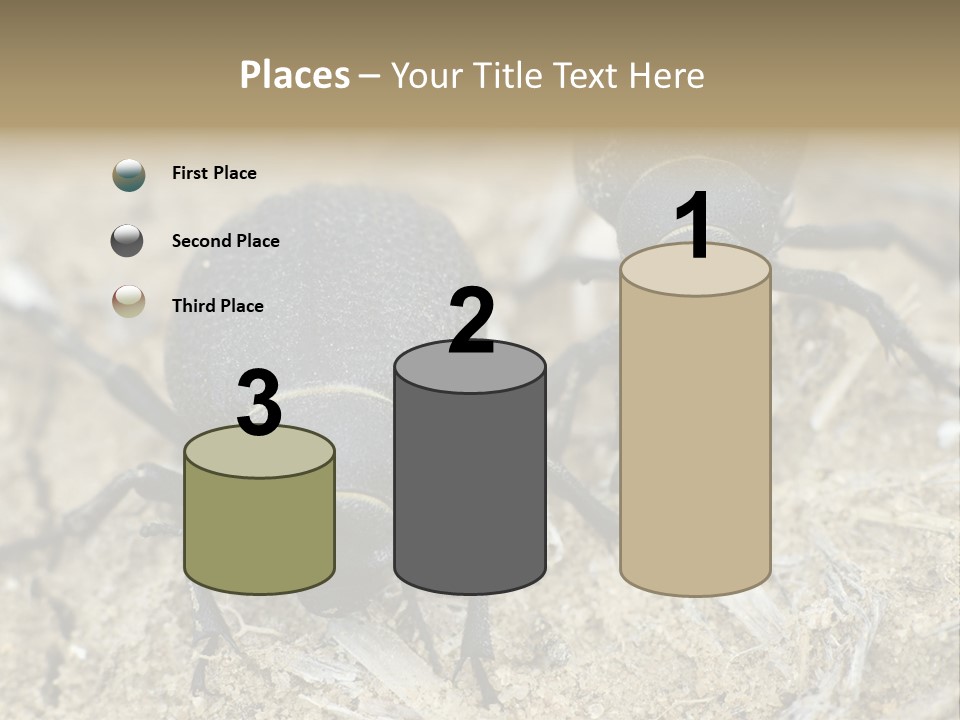 Wildlife Closeup Imago PowerPoint Template