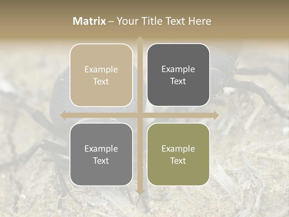 Wildlife Closeup Imago PowerPoint Template