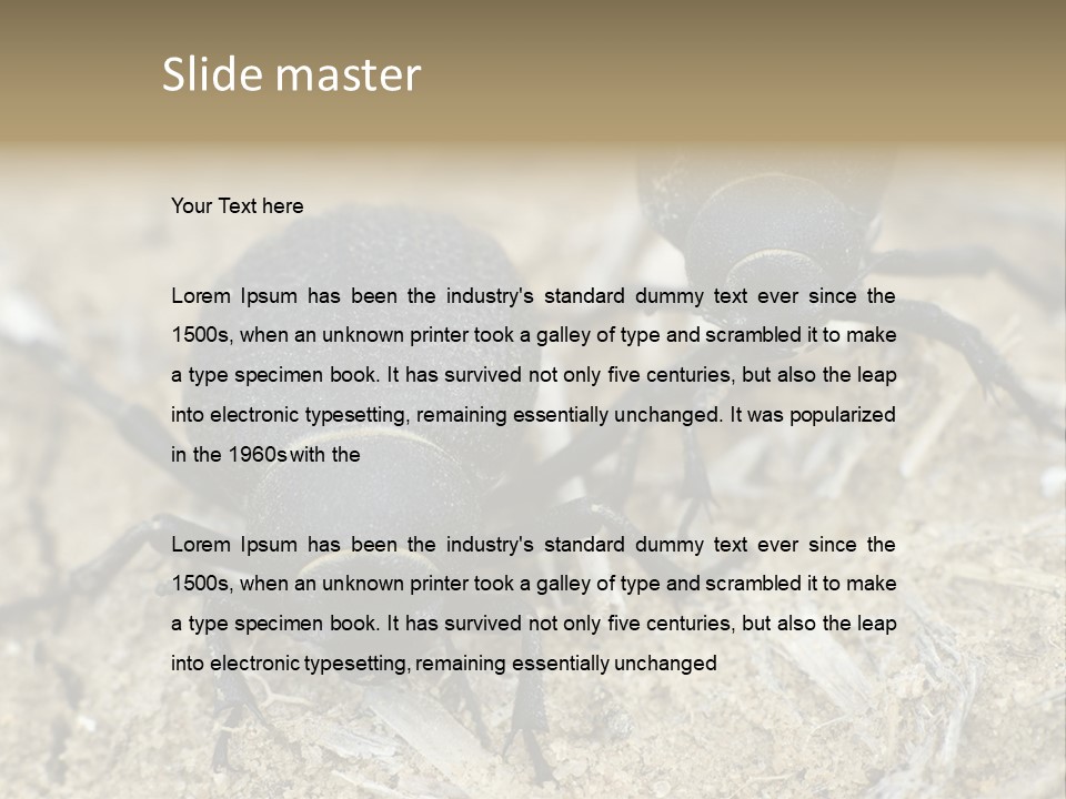 Wildlife Closeup Imago PowerPoint Template