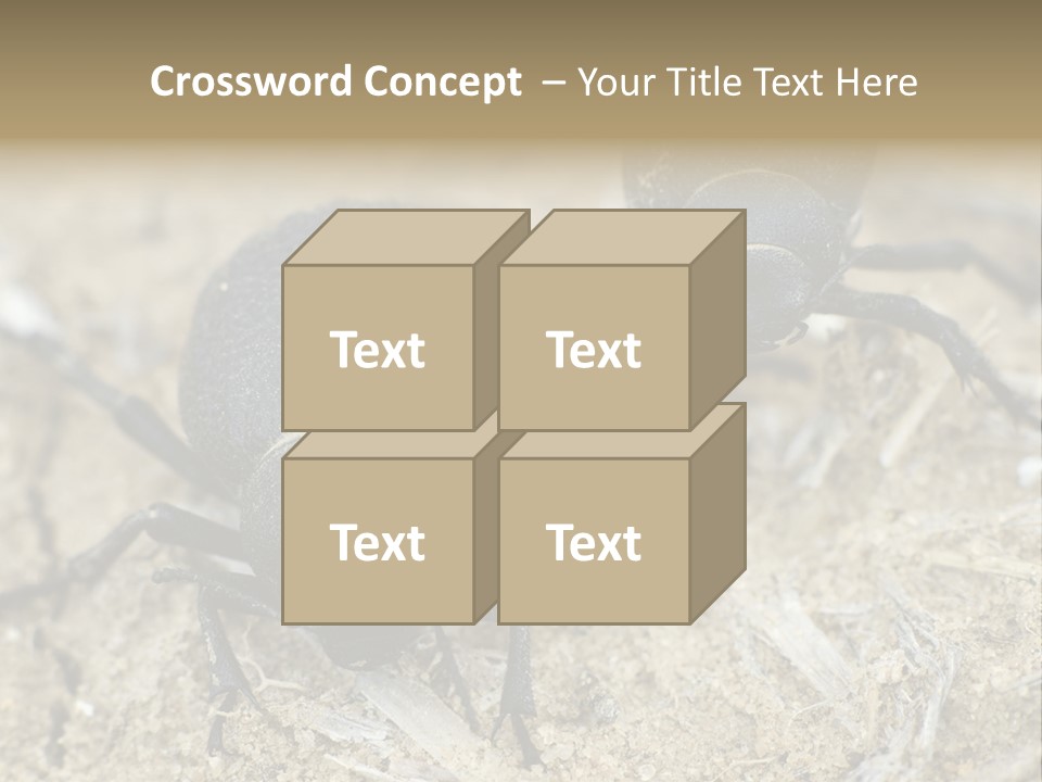 Wildlife Closeup Imago PowerPoint Template
