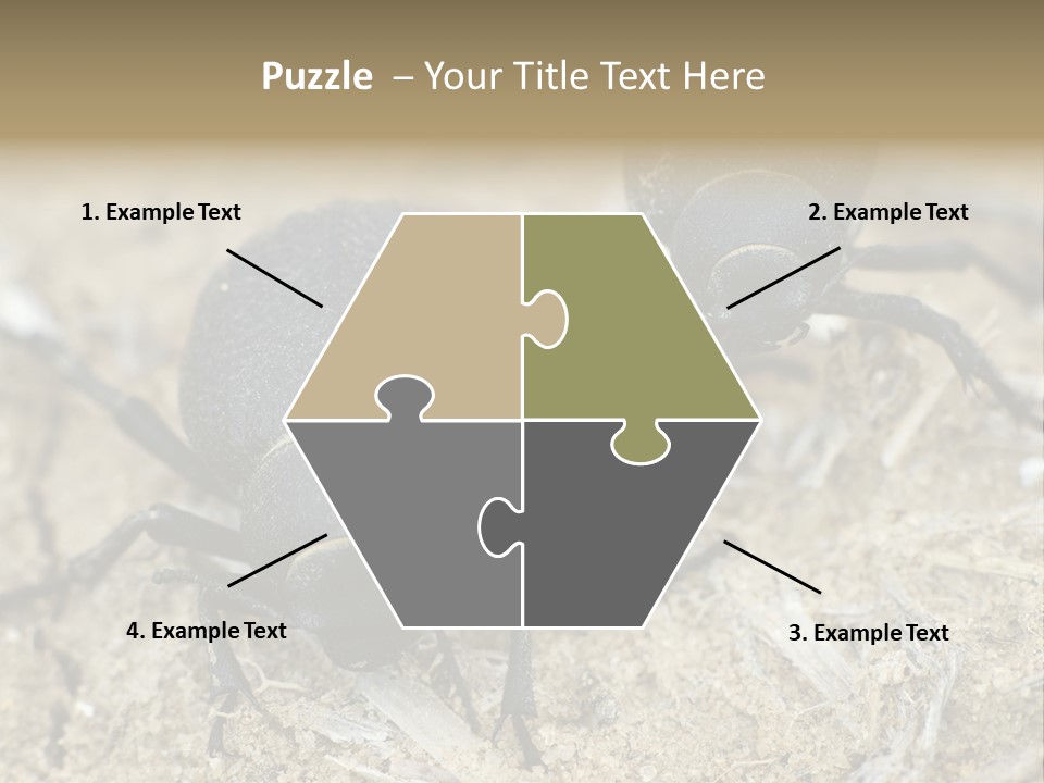 Wildlife Closeup Imago PowerPoint Template