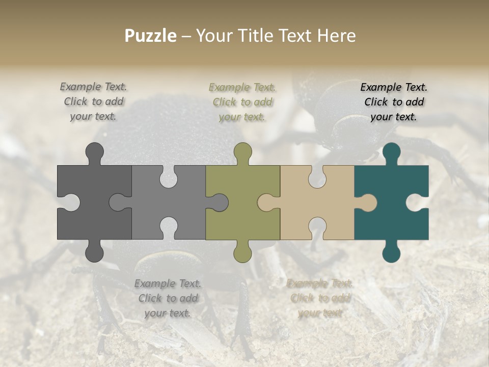 Wildlife Closeup Imago PowerPoint Template