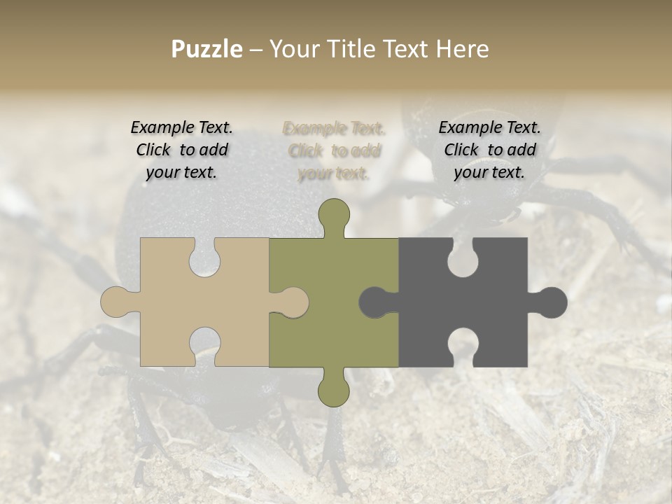 Wildlife Closeup Imago PowerPoint Template