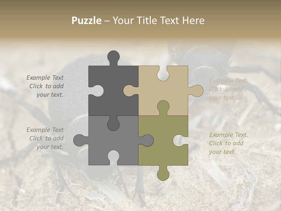 Wildlife Closeup Imago PowerPoint Template