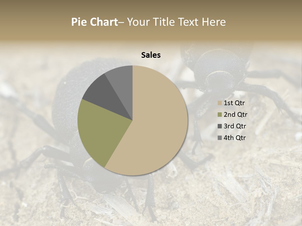 Wildlife Closeup Imago PowerPoint Template