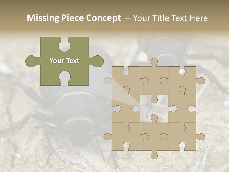 Wildlife Closeup Imago PowerPoint Template