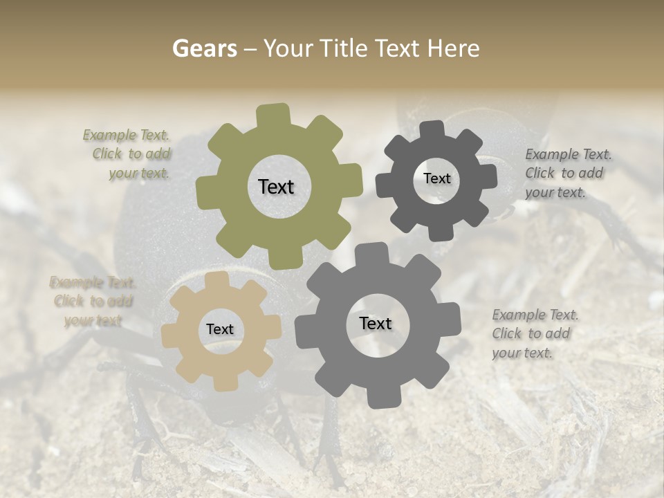 Wildlife Closeup Imago PowerPoint Template