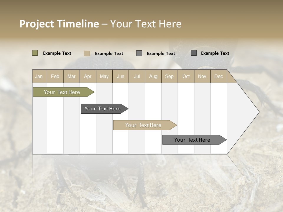 Wildlife Closeup Imago PowerPoint Template