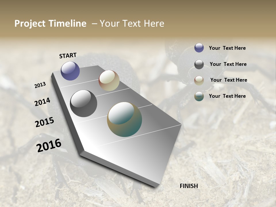 Wildlife Closeup Imago PowerPoint Template