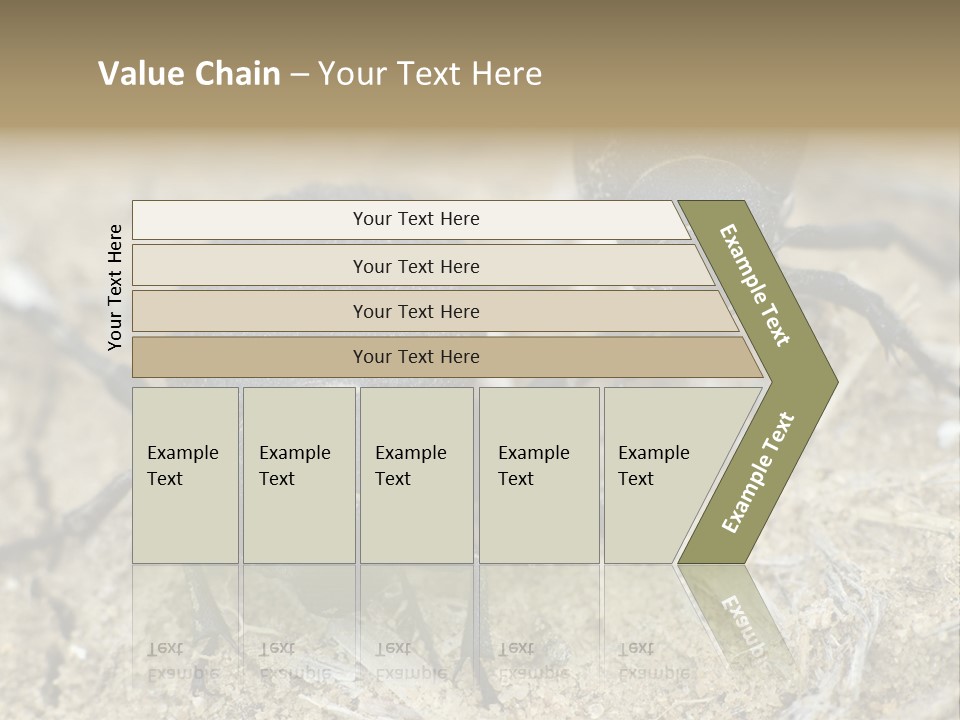 Wildlife Closeup Imago PowerPoint Template