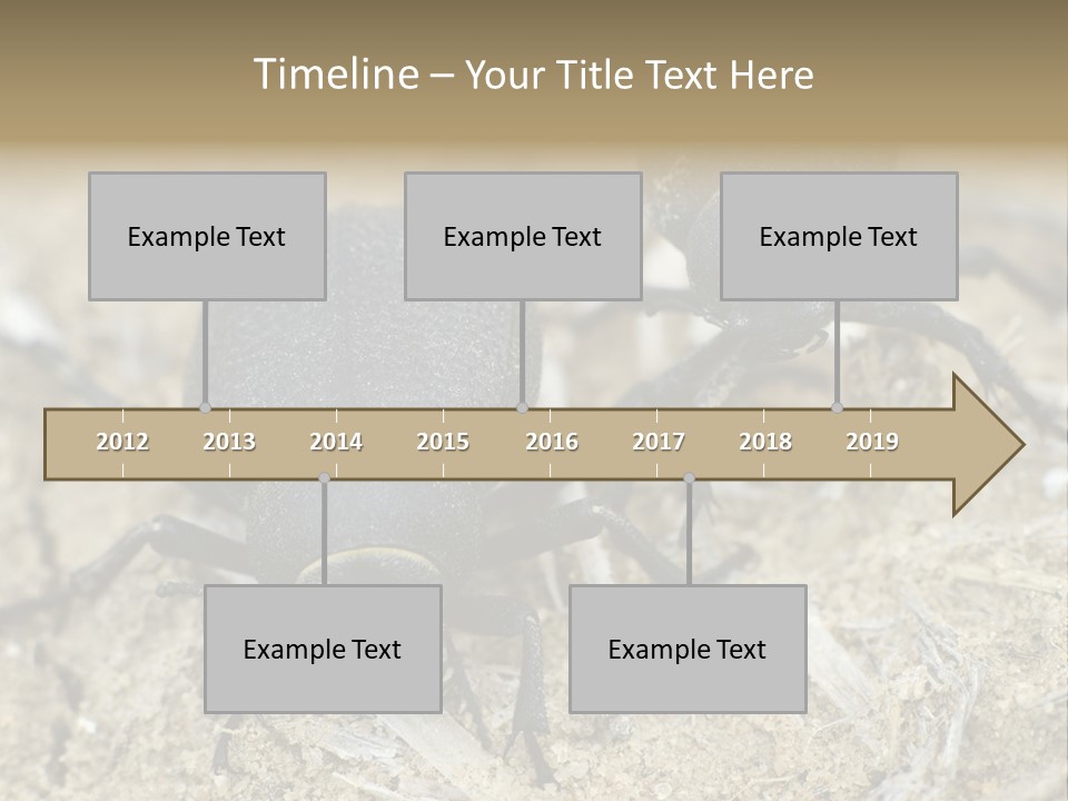 Wildlife Closeup Imago PowerPoint Template