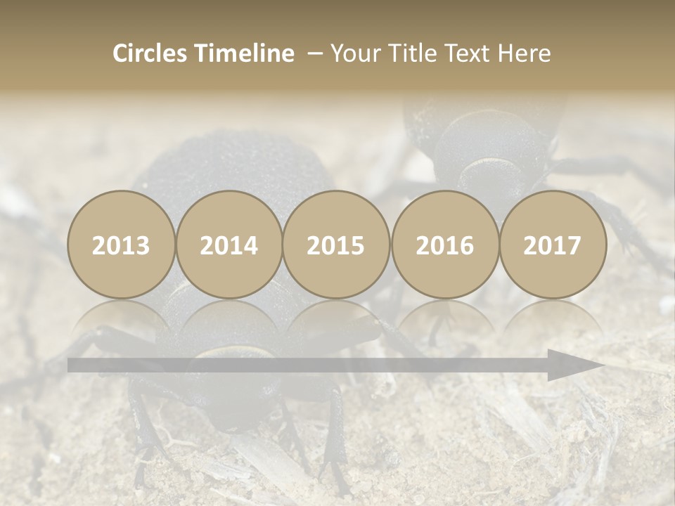 Wildlife Closeup Imago PowerPoint Template