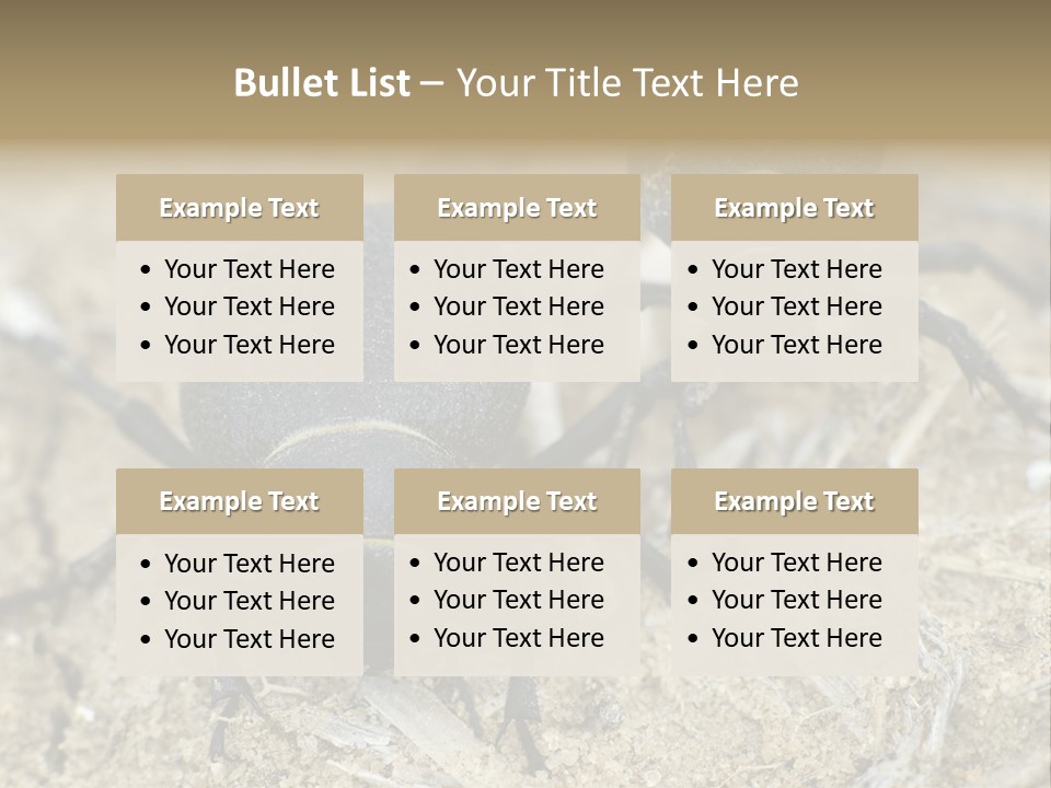 Wildlife Closeup Imago PowerPoint Template