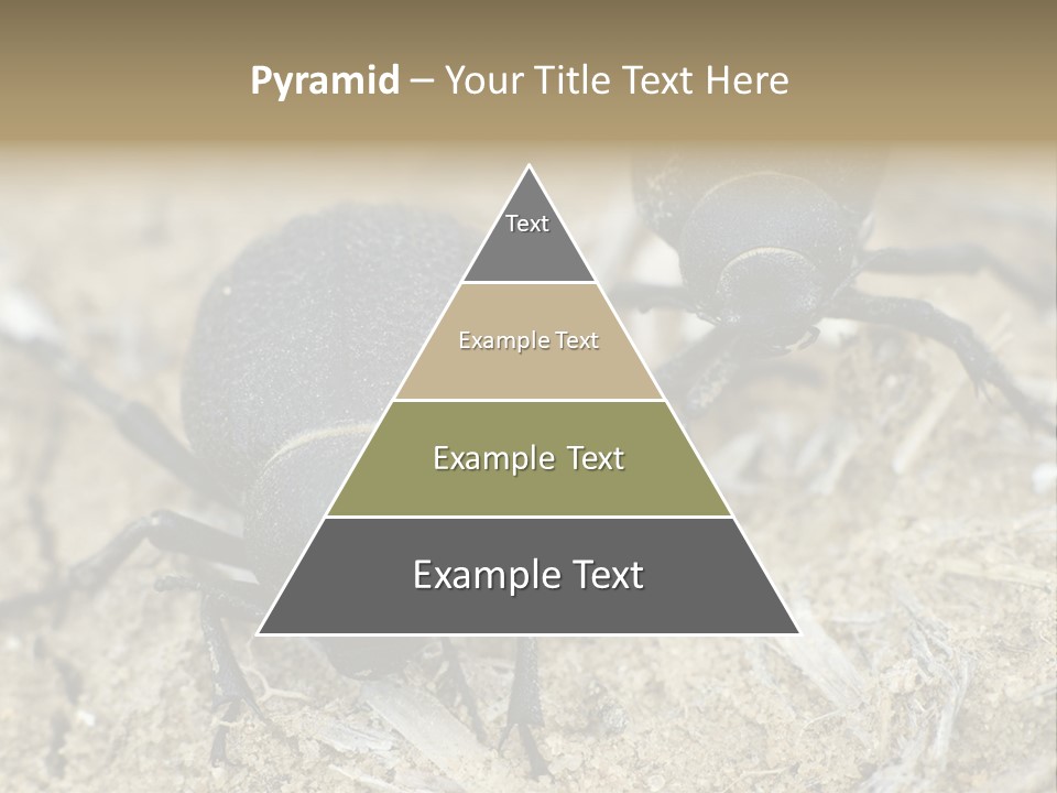 Wildlife Closeup Imago PowerPoint Template