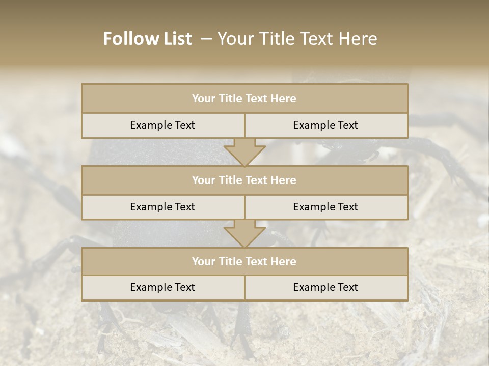 Wildlife Closeup Imago PowerPoint Template